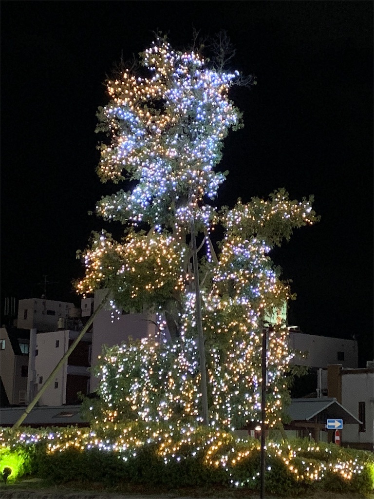 f:id:emi-sk:20190126210703j:image