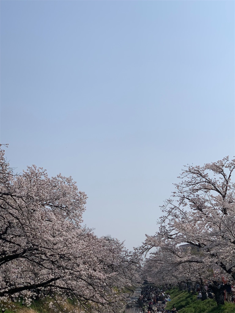 f:id:emi-sk:20190406170719j:image