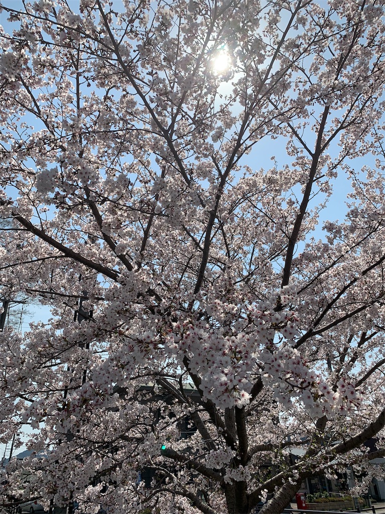 f:id:emi-sk:20190407171630j:image