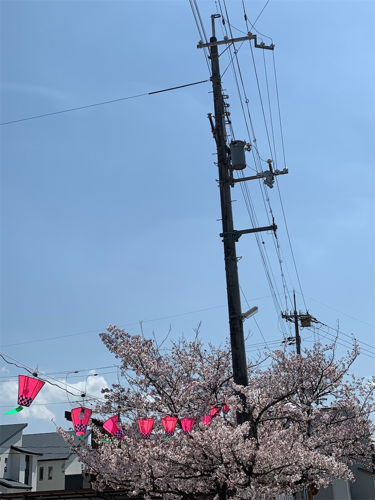 f:id:emi-sk:20190408145145j:image