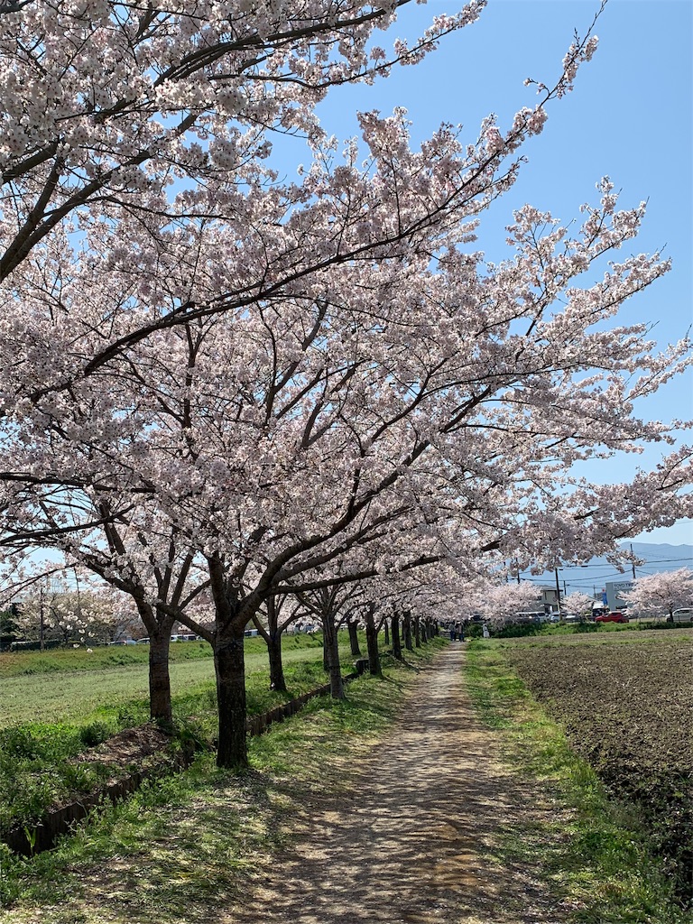 f:id:emi-sk:20190408145214j:image