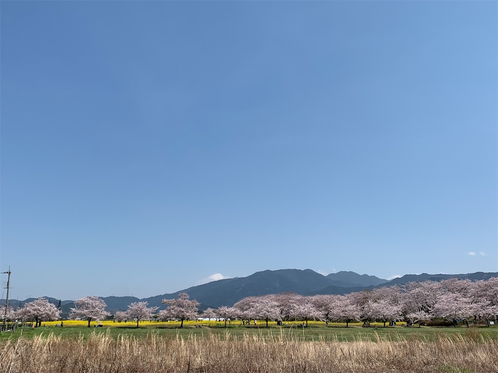 f:id:emi-sk:20190408145235j:image