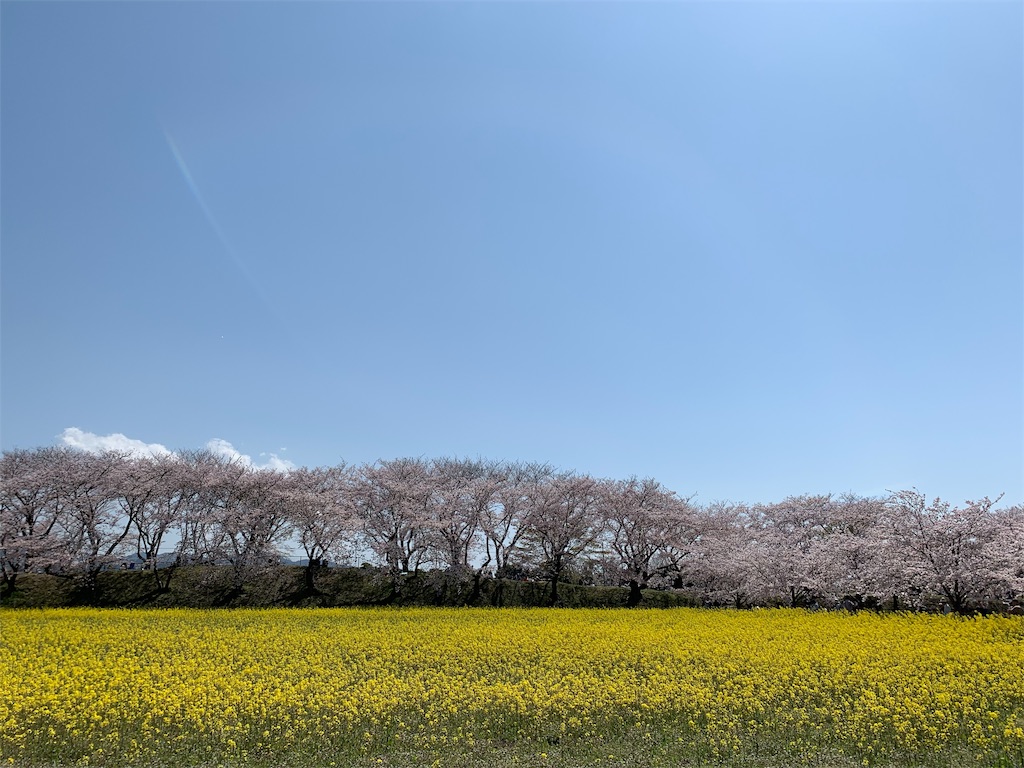 f:id:emi-sk:20190408145400j:image