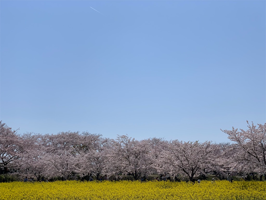 f:id:emi-sk:20190408145530j:image