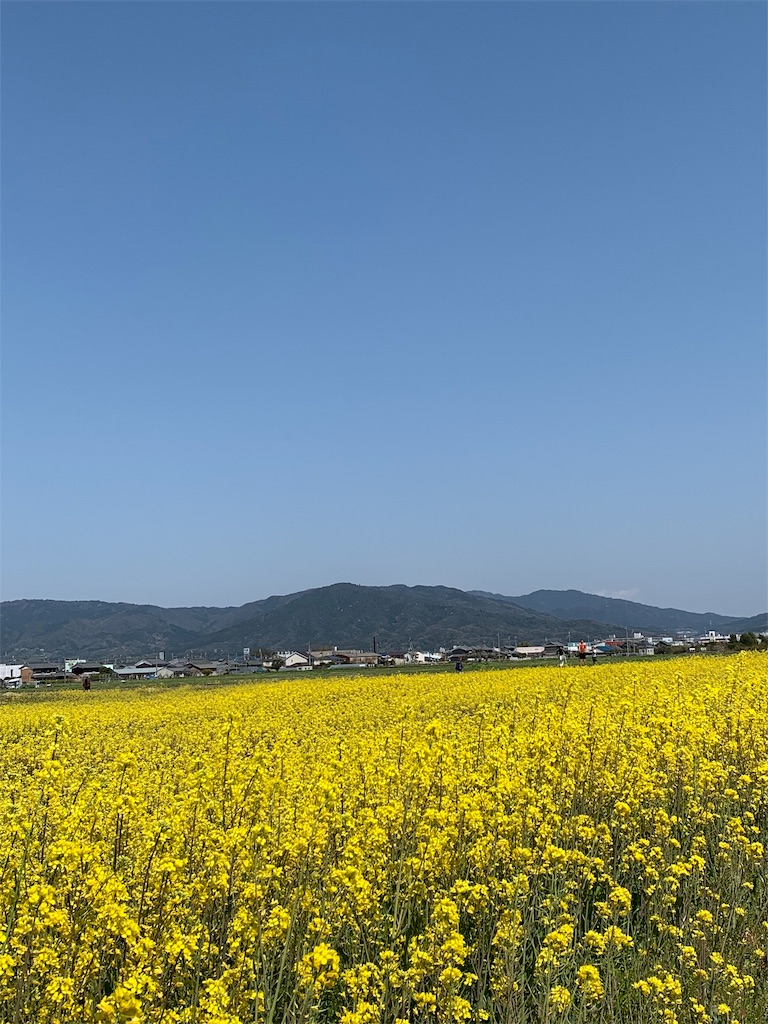 f:id:emi-sk:20190408145558j:image