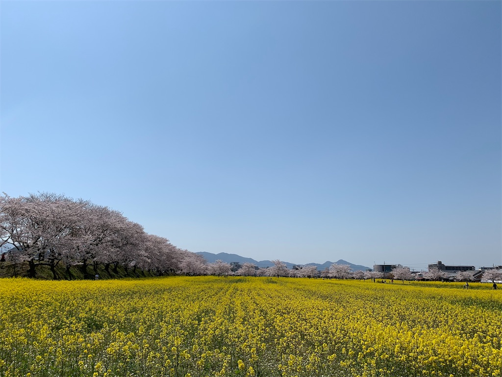 f:id:emi-sk:20190408145617j:image