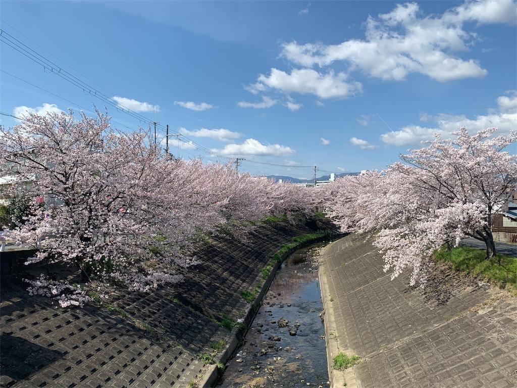 f:id:emi-sk:20190409125355j:image