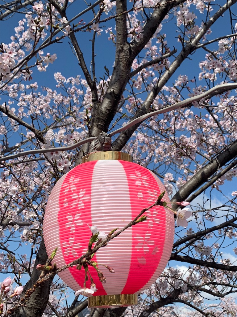 f:id:emi-sk:20190409125419j:image