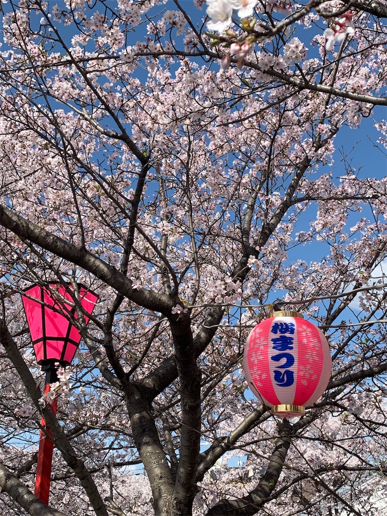 f:id:emi-sk:20190409125433j:image