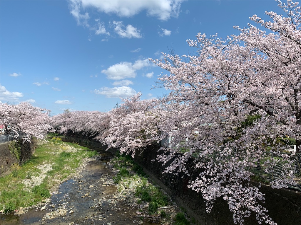 f:id:emi-sk:20190409125512j:image