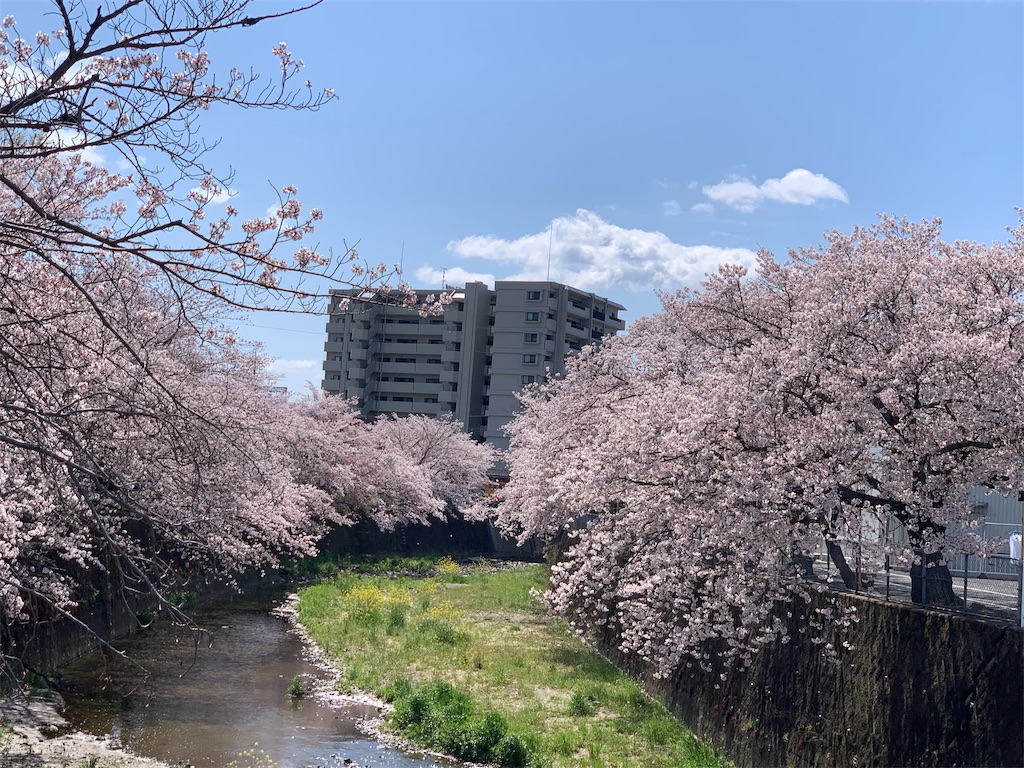 f:id:emi-sk:20190409125533j:image