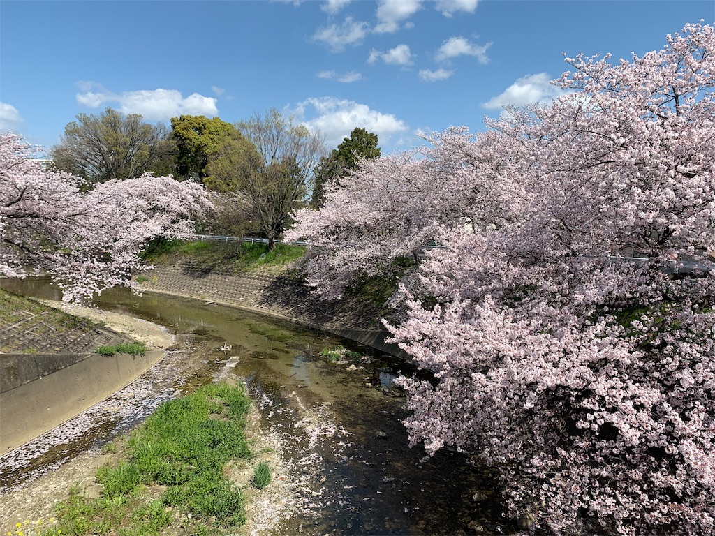 f:id:emi-sk:20190409125617j:image