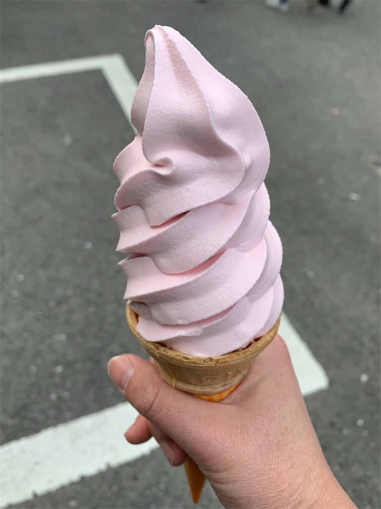 f:id:emi-sk:20190413162018j:image