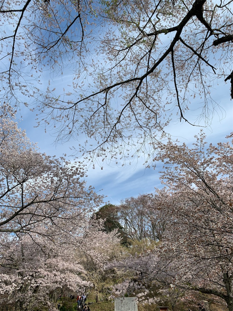 f:id:emi-sk:20190413183421j:image