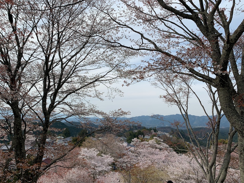 f:id:emi-sk:20190413183749j:image