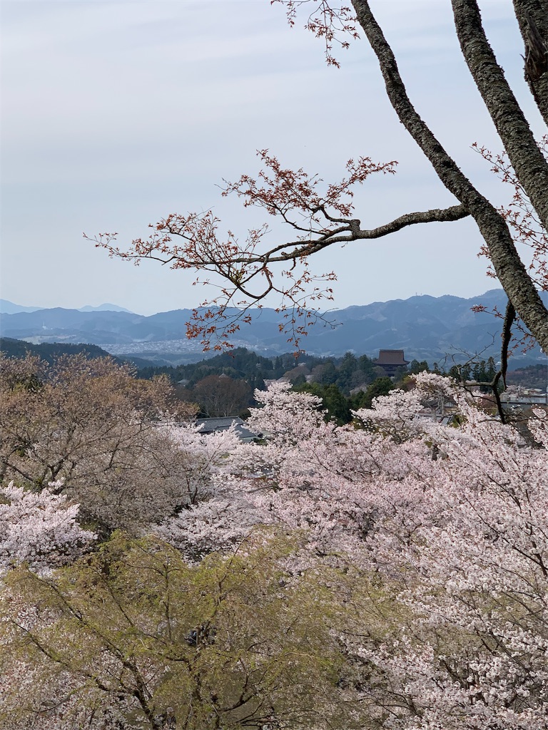 f:id:emi-sk:20190413195320j:image