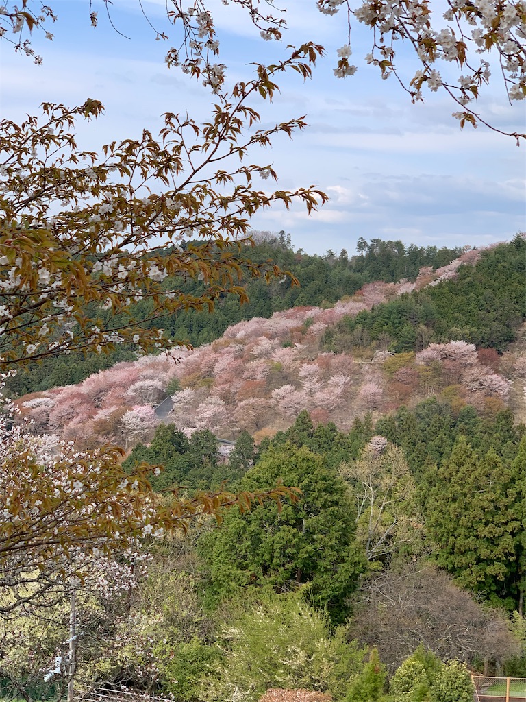 f:id:emi-sk:20190413205922j:image