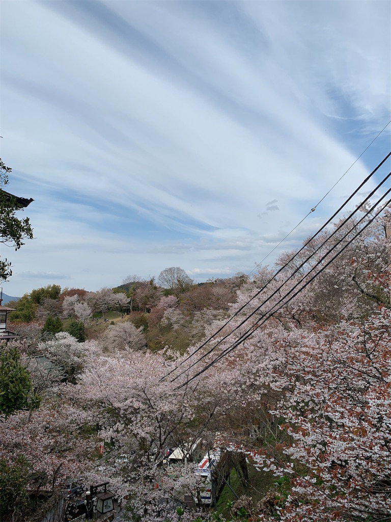 f:id:emi-sk:20190413205938j:image