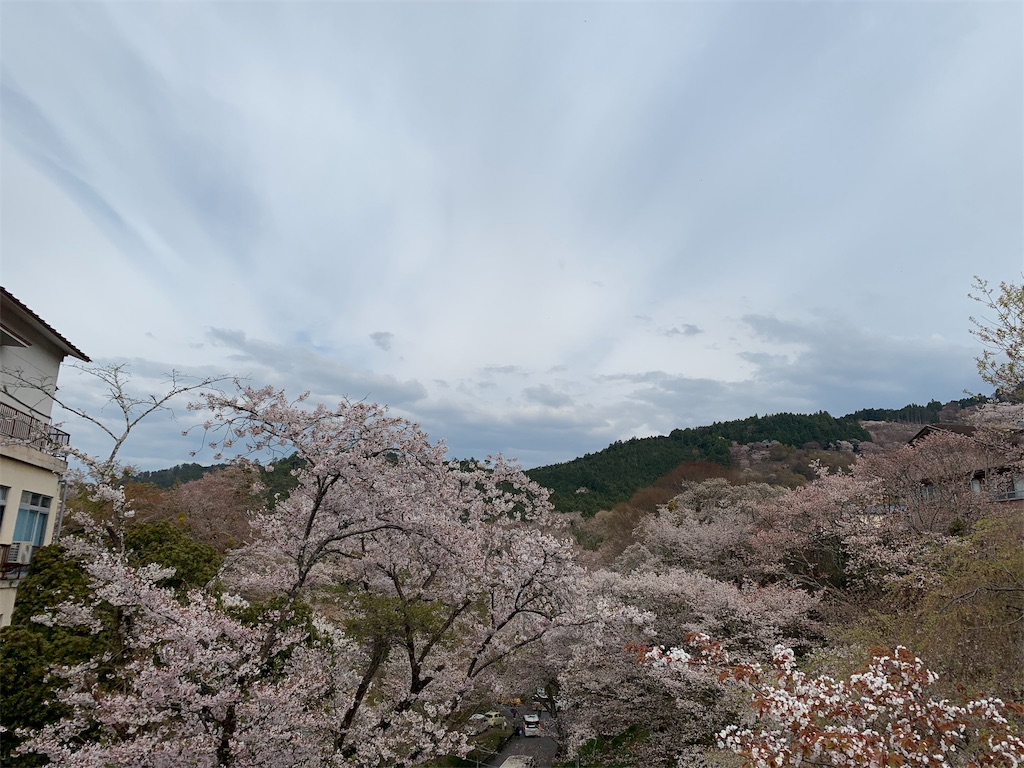 f:id:emi-sk:20190413210043j:image