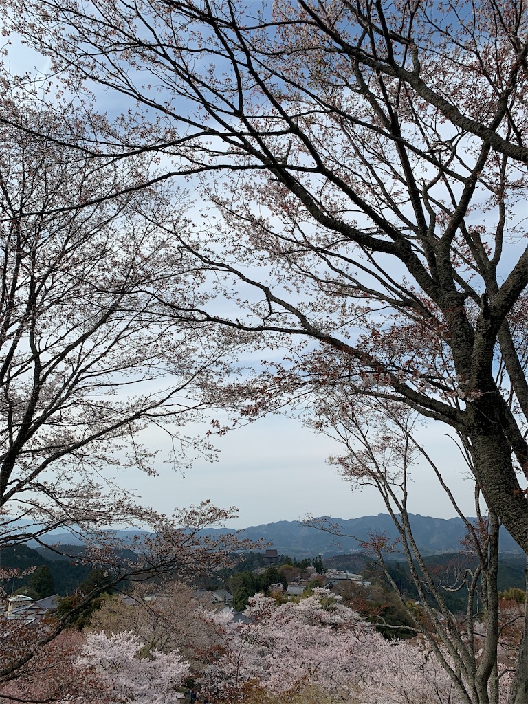f:id:emi-sk:20190414064238j:image