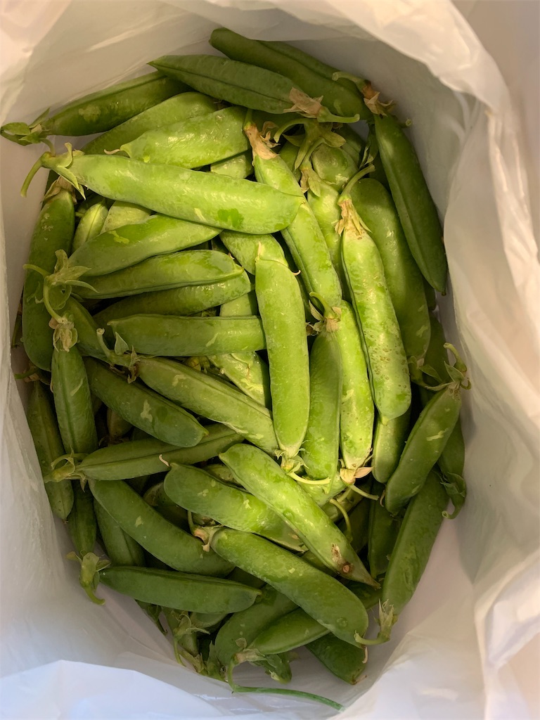 f:id:emi-sk:20190514174758j:image f:id:emi-sk:20190514174758j:image
