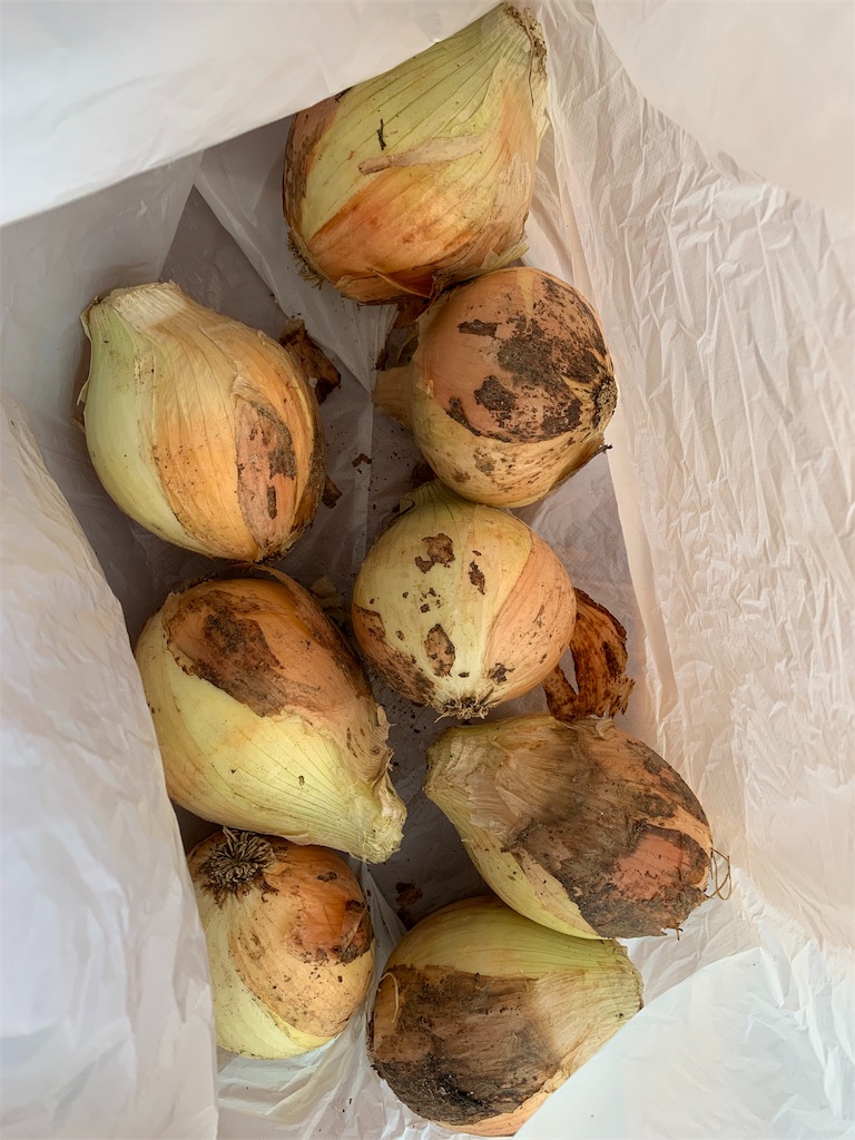f:id:emi-sk:20190524105254j:image