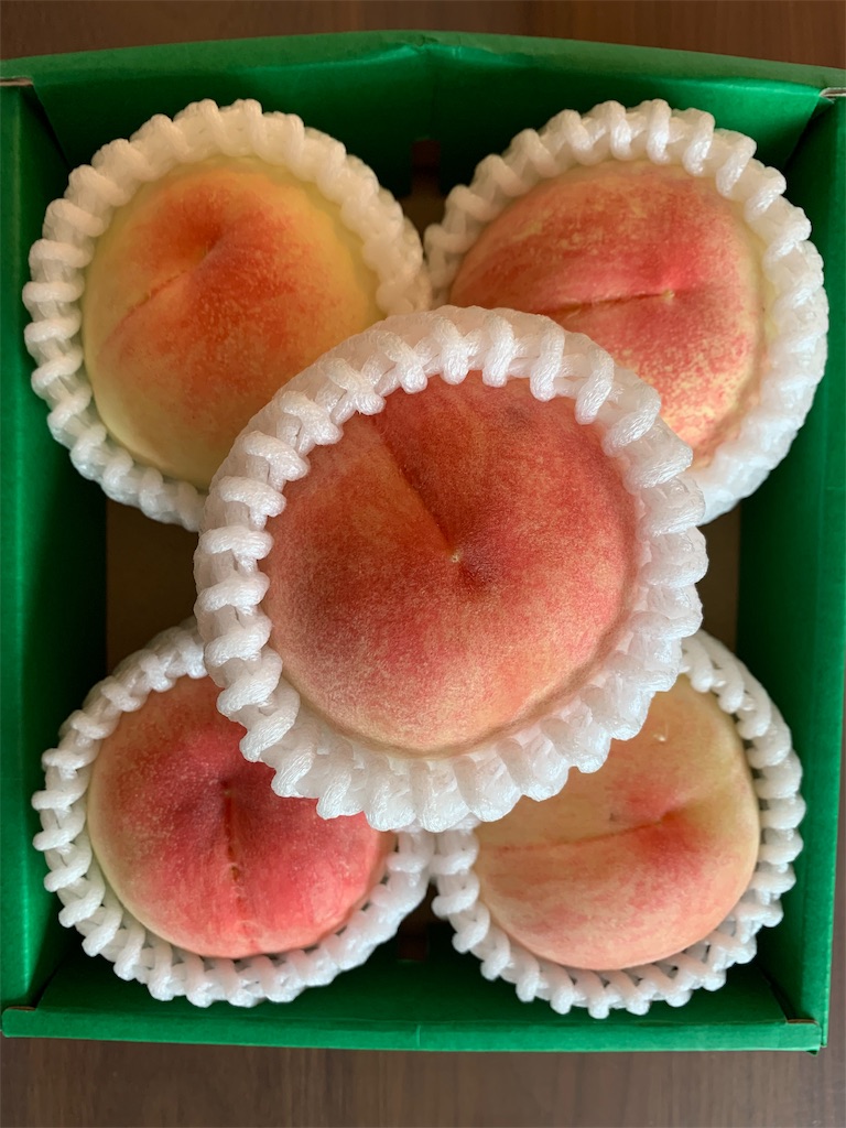 f:id:emi-sk:20190710135045j:image
