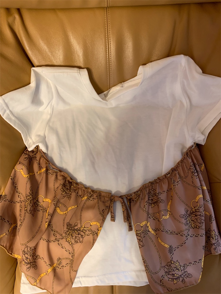 f:id:emi-sk:20190721214629j:image