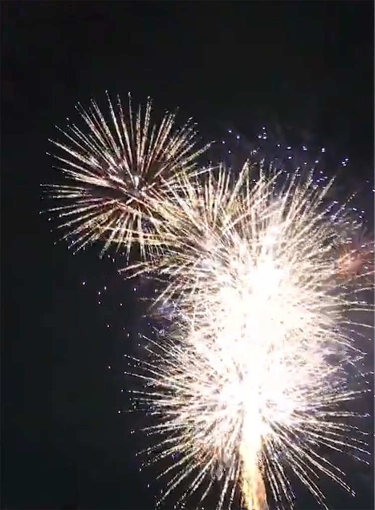 f:id:emi-sk:20190726080953j:image