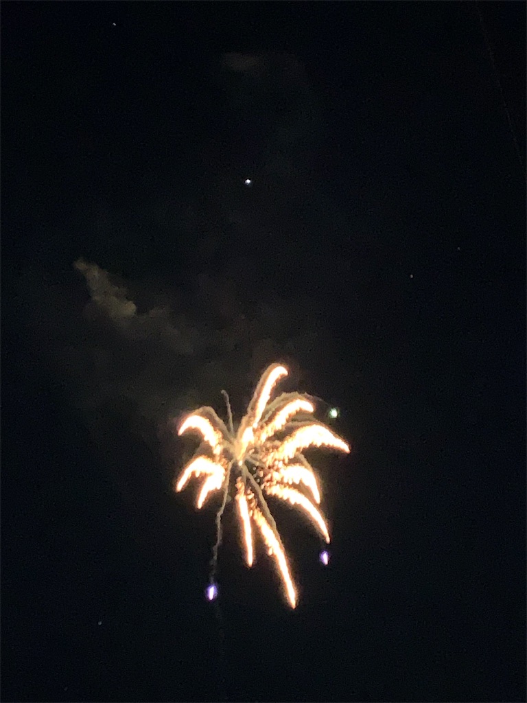f:id:emi-sk:20190729064259j:image