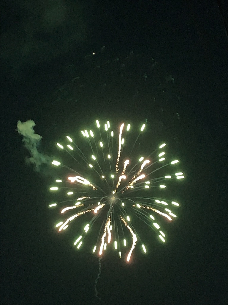 f:id:emi-sk:20190729071329j:image