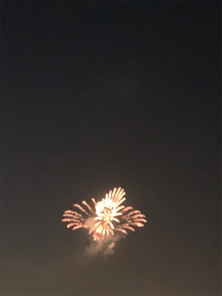 f:id:emi-sk:20190803190355j:image
