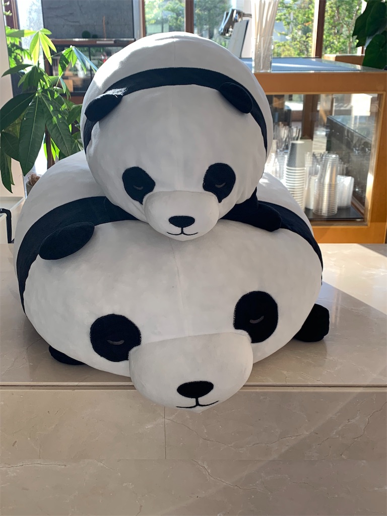 f:id:emi-sk:20190813075031j:image
