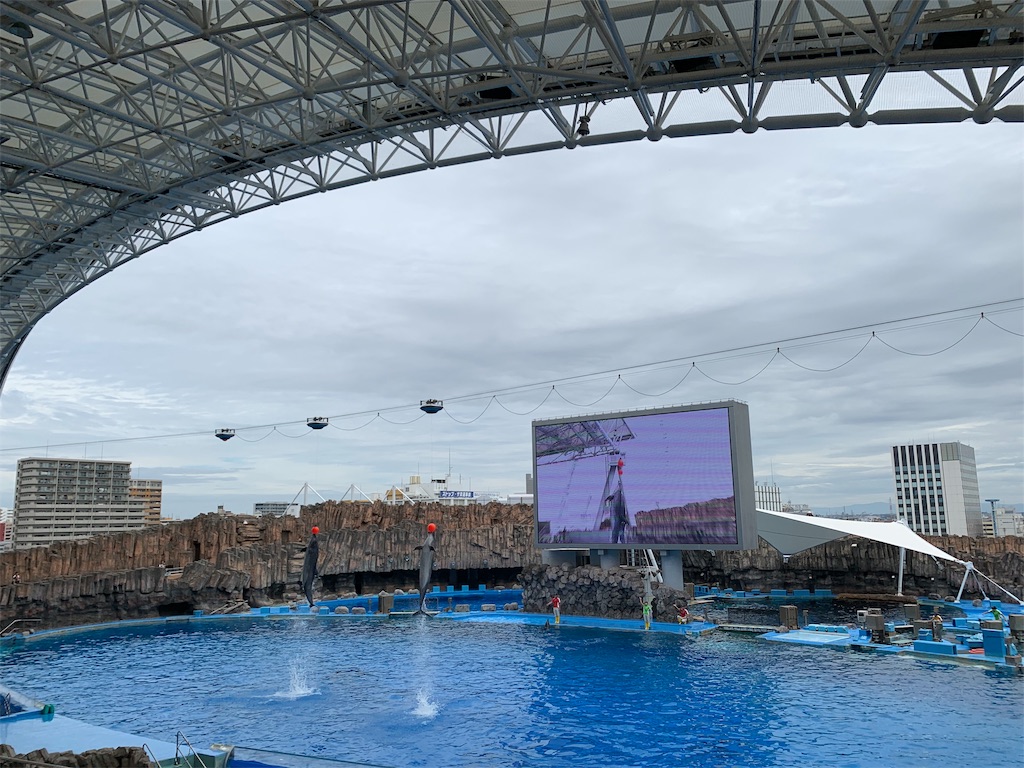 f:id:emi-sk:20190923204518j:image f:id:emi-sk:20190923204518j:image