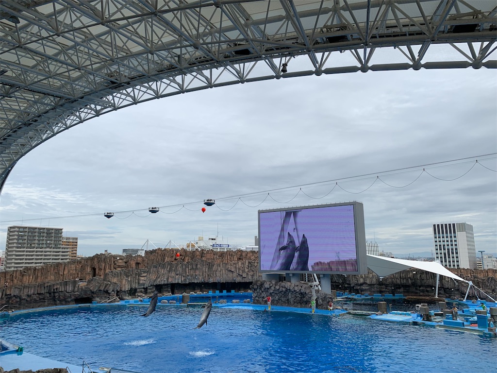 f:id:emi-sk:20190923204553j:image f:id:emi-sk:20190923204553j:image