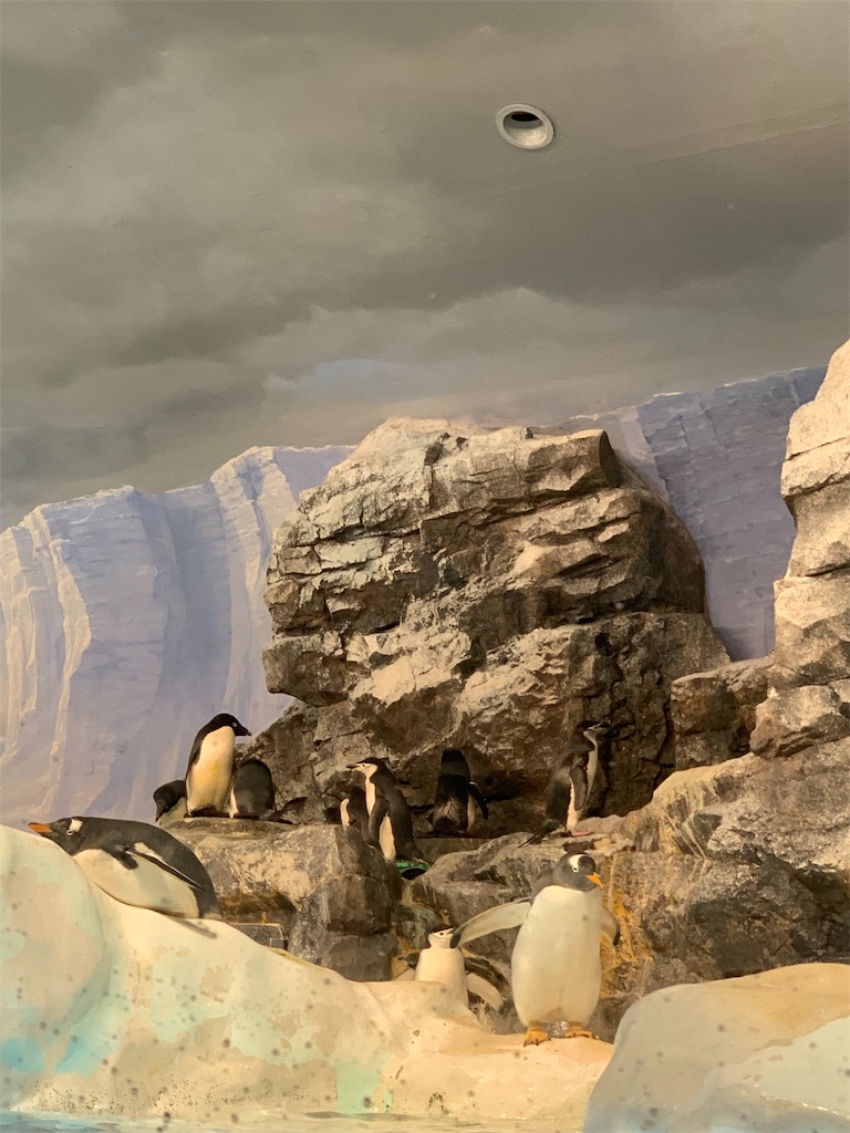 f:id:emi-sk:20190923204727j:image f:id:emi-sk:20190923204727j:image
