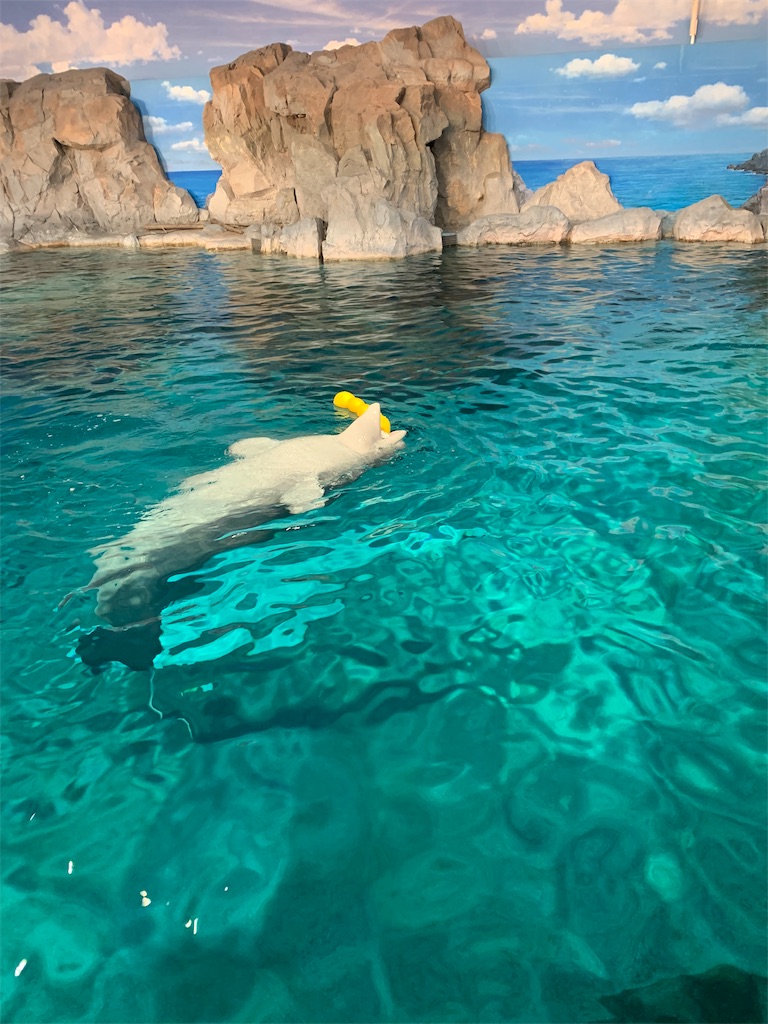 f:id:emi-sk:20190923204748j:image f:id:emi-sk:20190923204748j:image