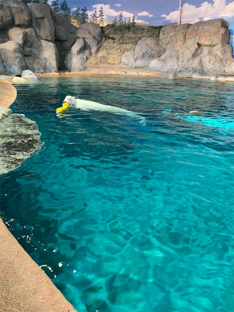 f:id:emi-sk:20190923204808j:image f:id:emi-sk:20190923204808j:image