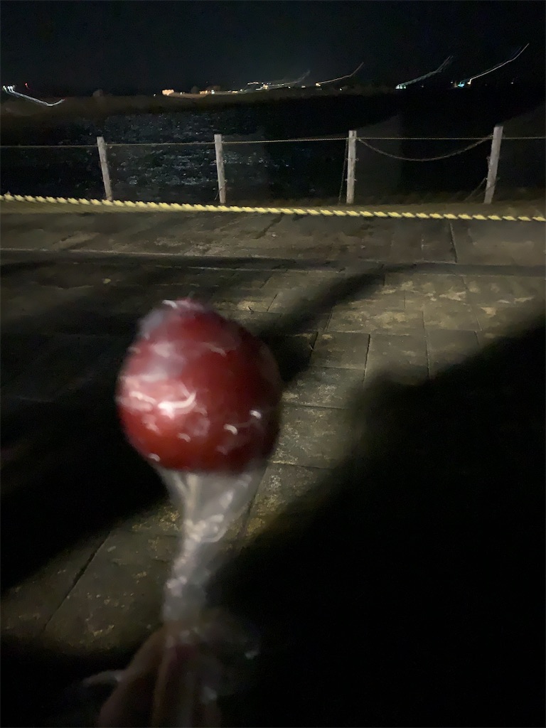 f:id:emi-sk:20191006060128j:image