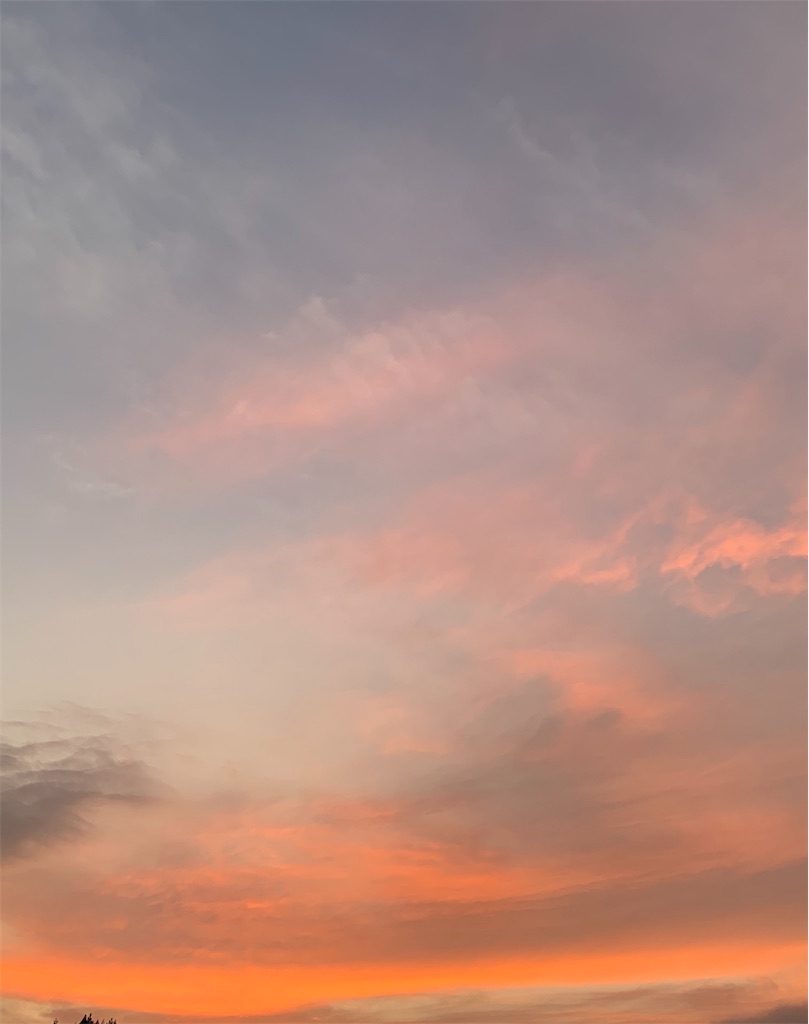 f:id:emi-sk:20191030171835j:image f:id:emi-sk:20191030171835j:image
