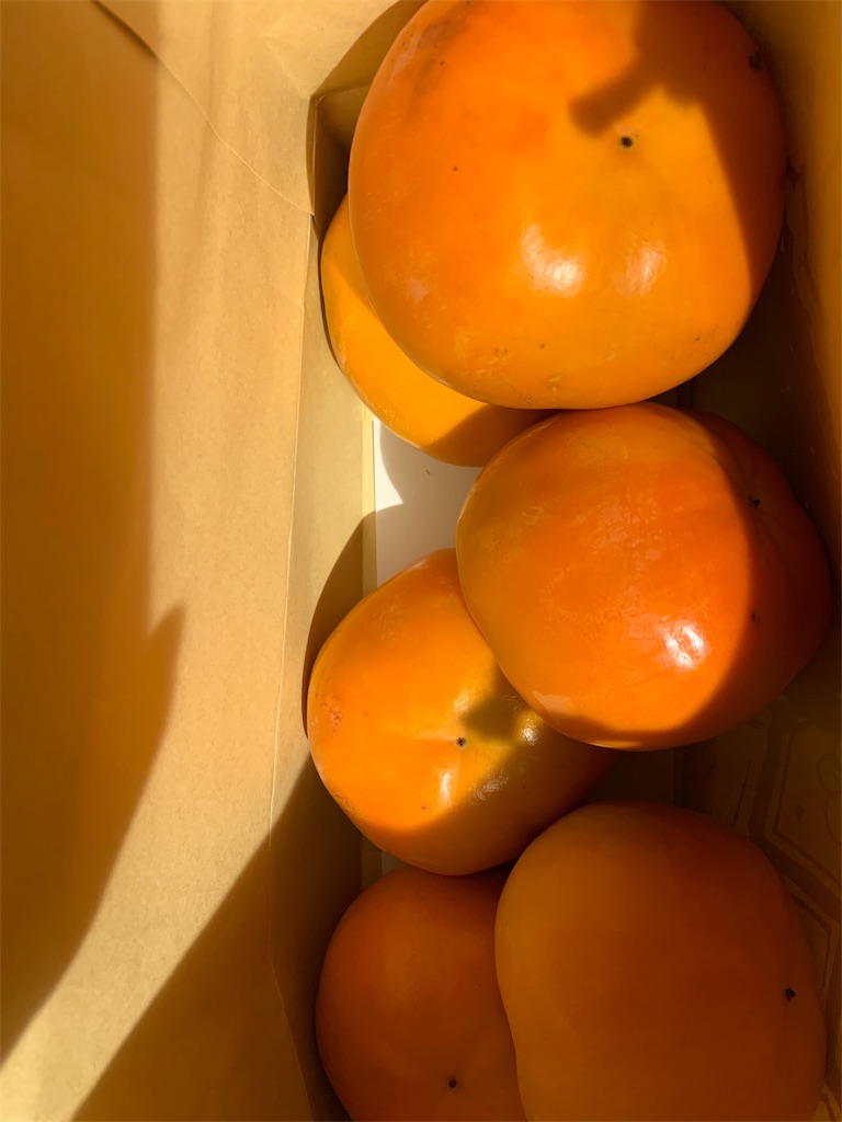 f:id:emi-sk:20191108215614j:image