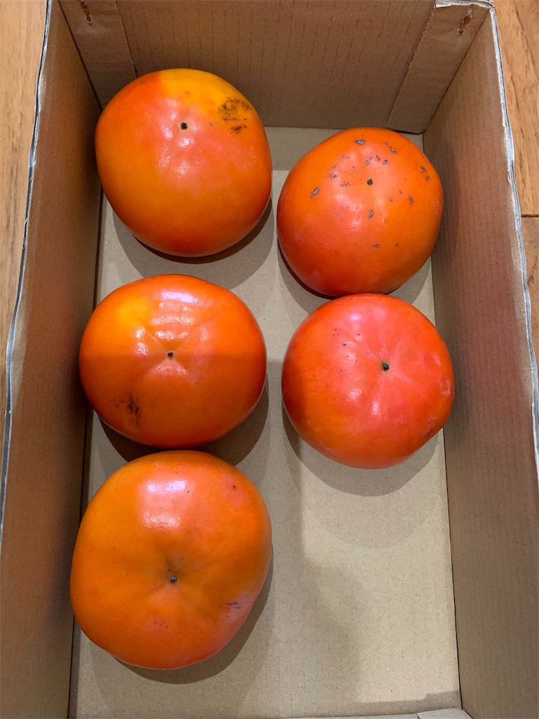 f:id:emi-sk:20191125140739j:image