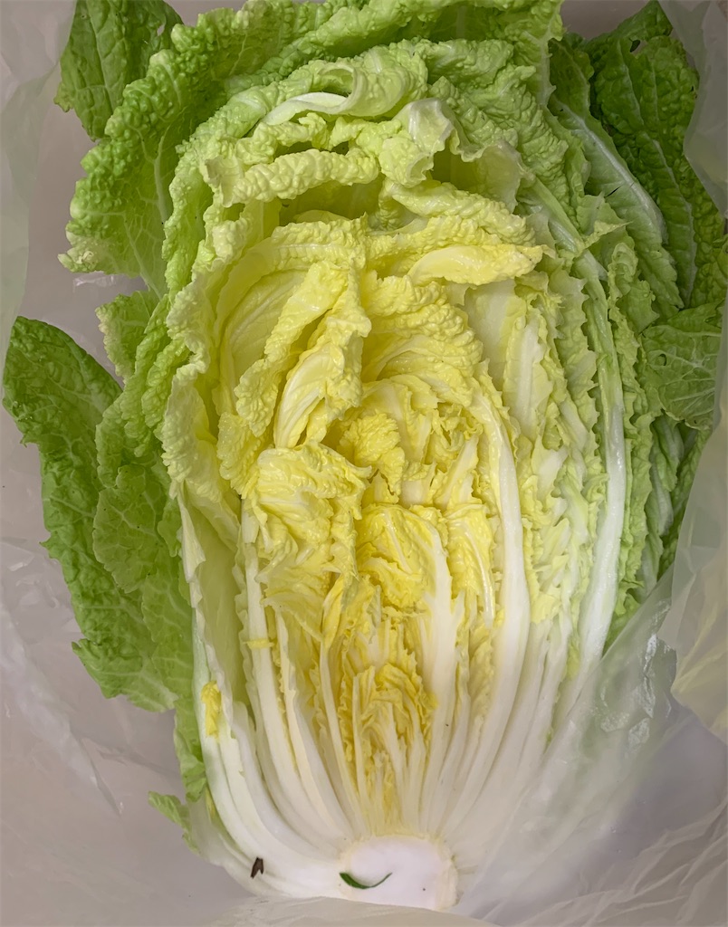 f:id:emi-sk:20191209160553j:image