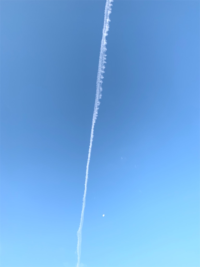 f:id:emi-sk:20191216072544j:image f:id:emi-sk:20191216072544j:image