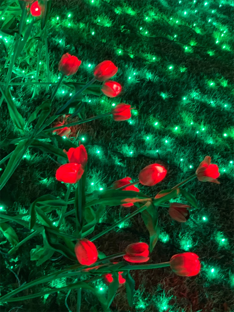 f:id:emi-sk:20200119134902j:image f:id:emi-sk:20200119134902j:image