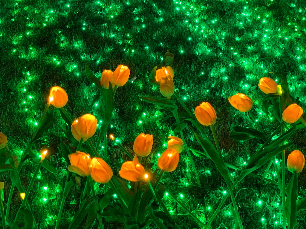 f:id:emi-sk:20200119201905j:image f:id:emi-sk:20200119201905j:image