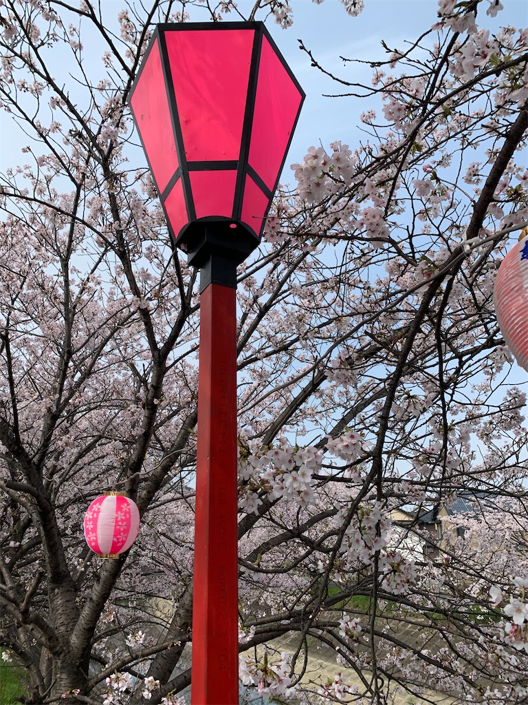 f:id:emi-sk:20200403205924j:image