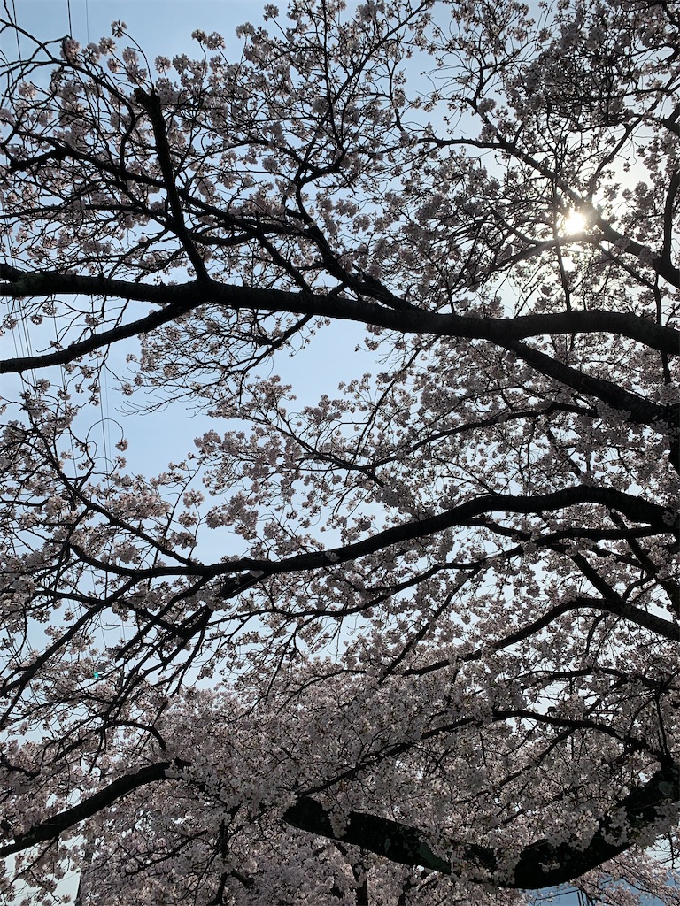 f:id:emi-sk:20200403210218j:image