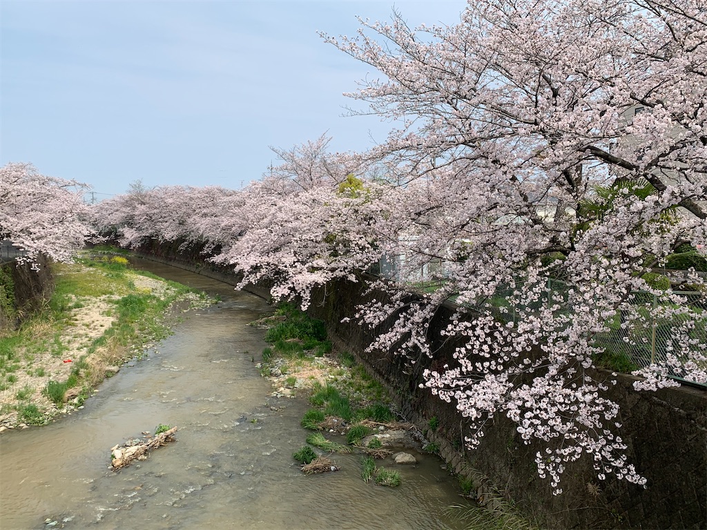 f:id:emi-sk:20200403210253j:image