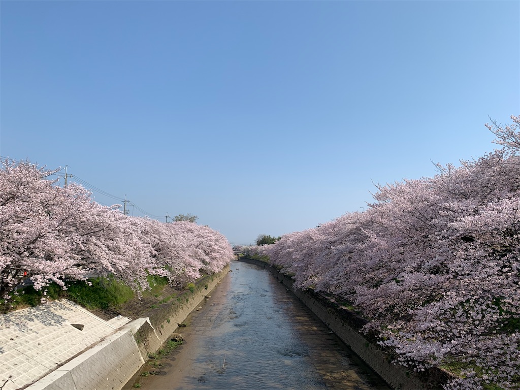 f:id:emi-sk:20200404121229j:image